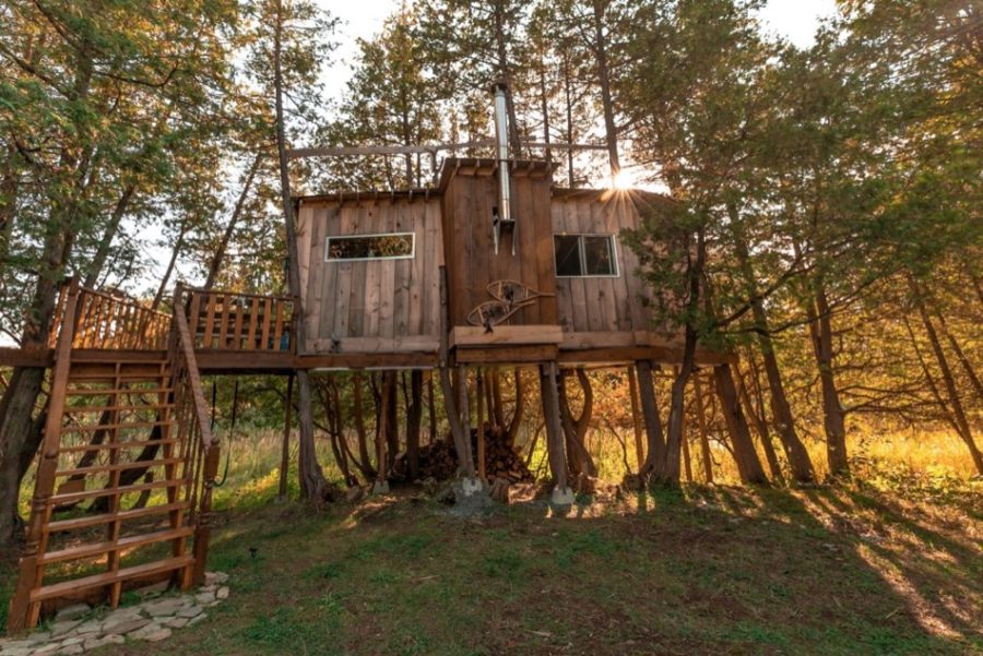 Image showcasing Rustic, Off-Grid Tree House near Ottawa