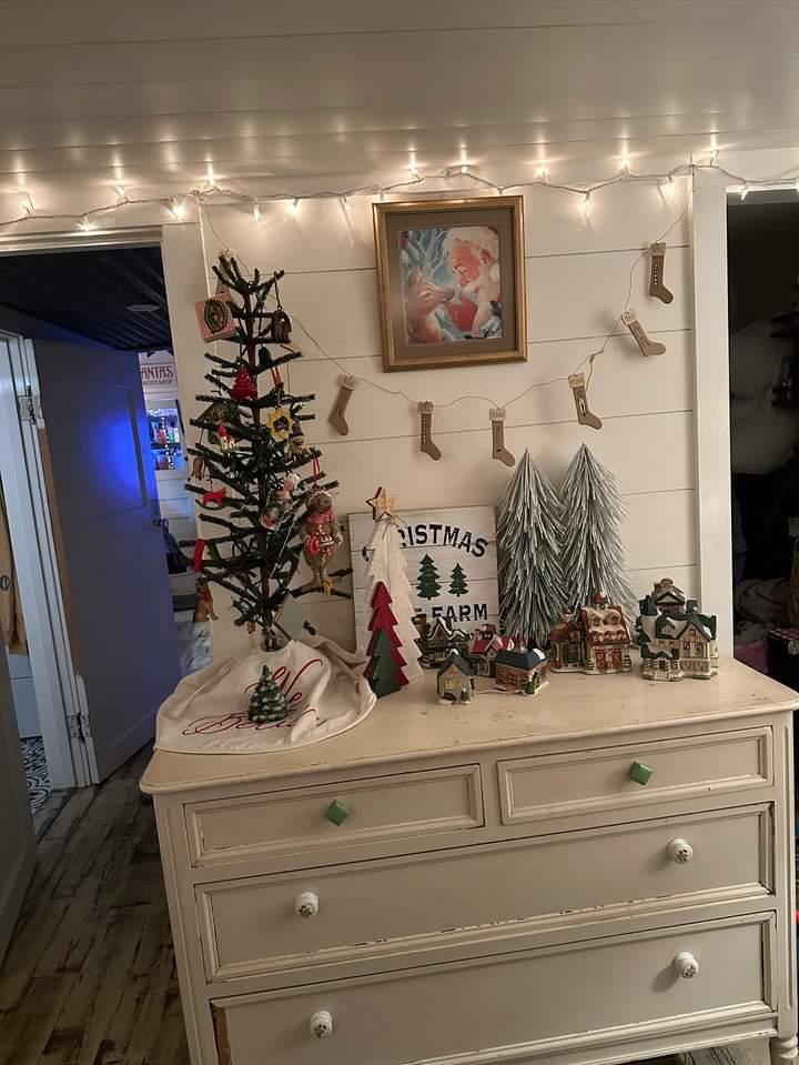 Shelley and Uwe’s Tiny Home Ready for Christmas 4