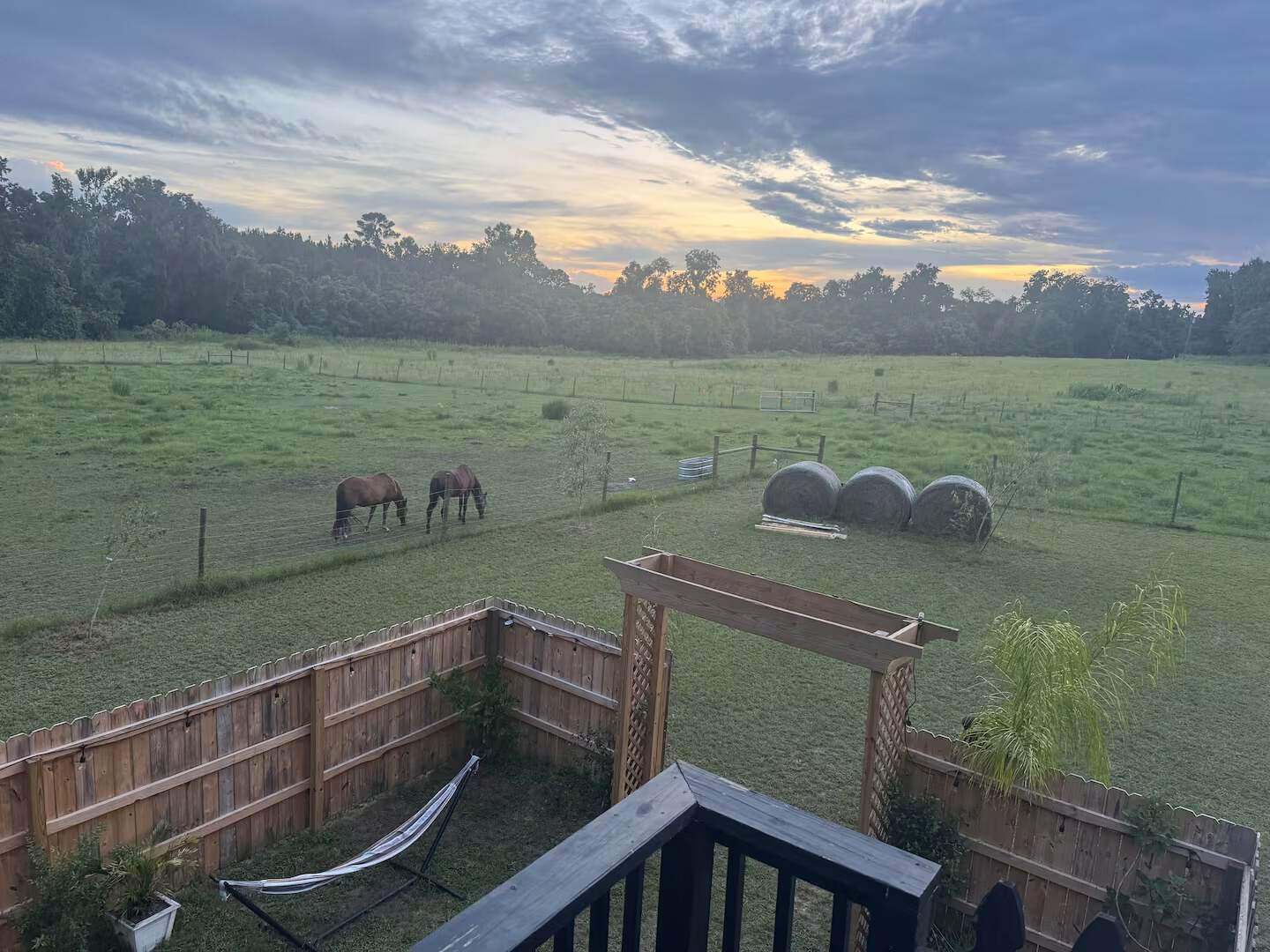 Horses grazing in the field beyond the Shiva tiny home at sunset