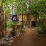Sir Cedric Treehouse Airbnb Built Around 4-Foot-Wide Western Red Cedar 010
