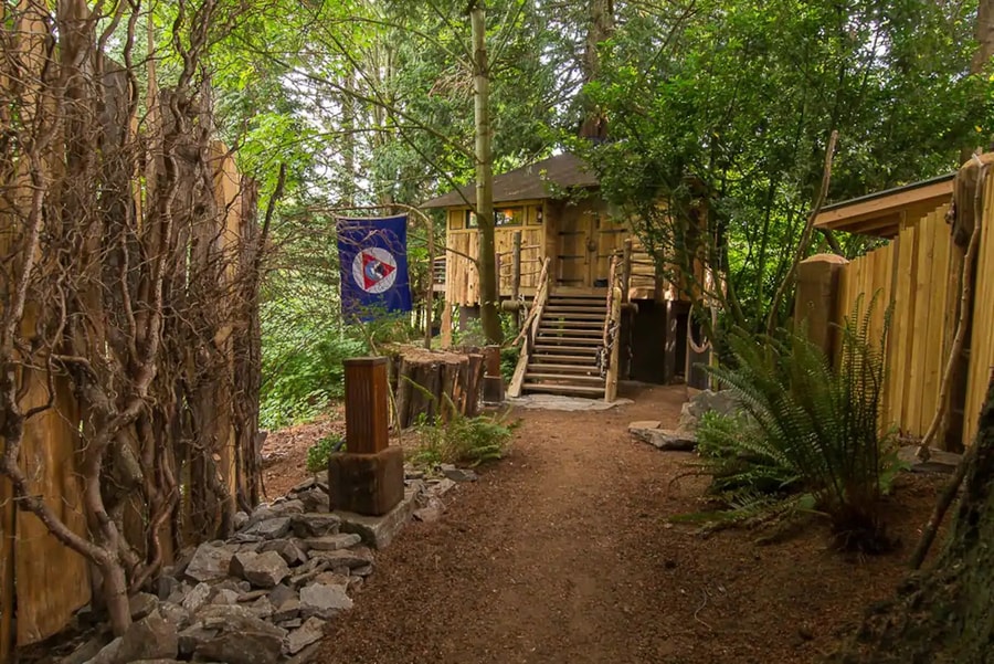 Sir Cedric Treehouse Airbnb Built Around 4-Foot-Wide Western Red Cedar 010