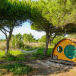 Slow Life Pod – Exploring Alternatives 1