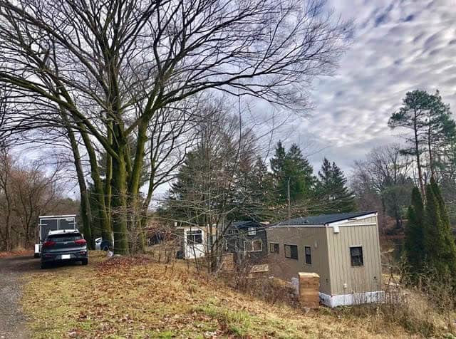 Tiny house with large tree in yard, surrounded by nature and trees.
