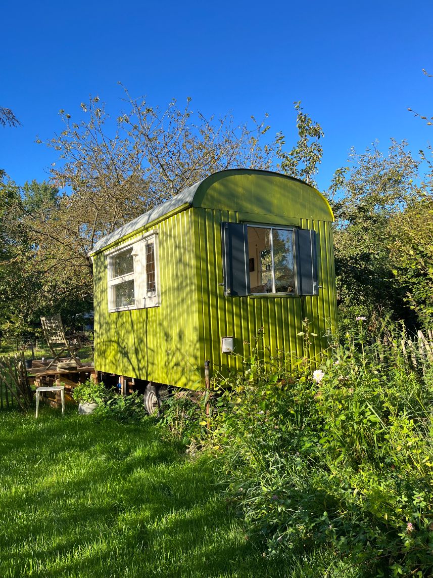 Supporting Her Mental Health in DIY Tiny Home 9