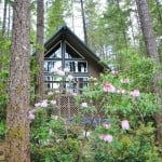 Tahuya-Cabin-For-Sale-0016