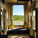 texas-style-house-full-of-windows-001