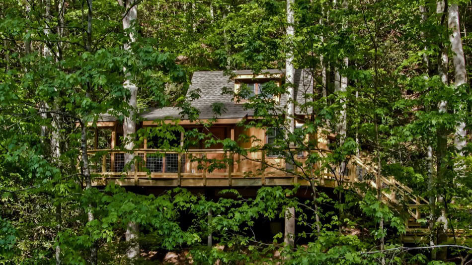Tiny House in Gatlinburg Forest