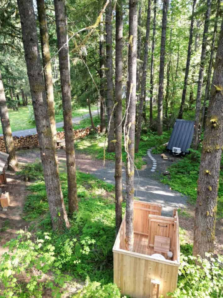 Tiny house nestled among tall trees in a lush forest.