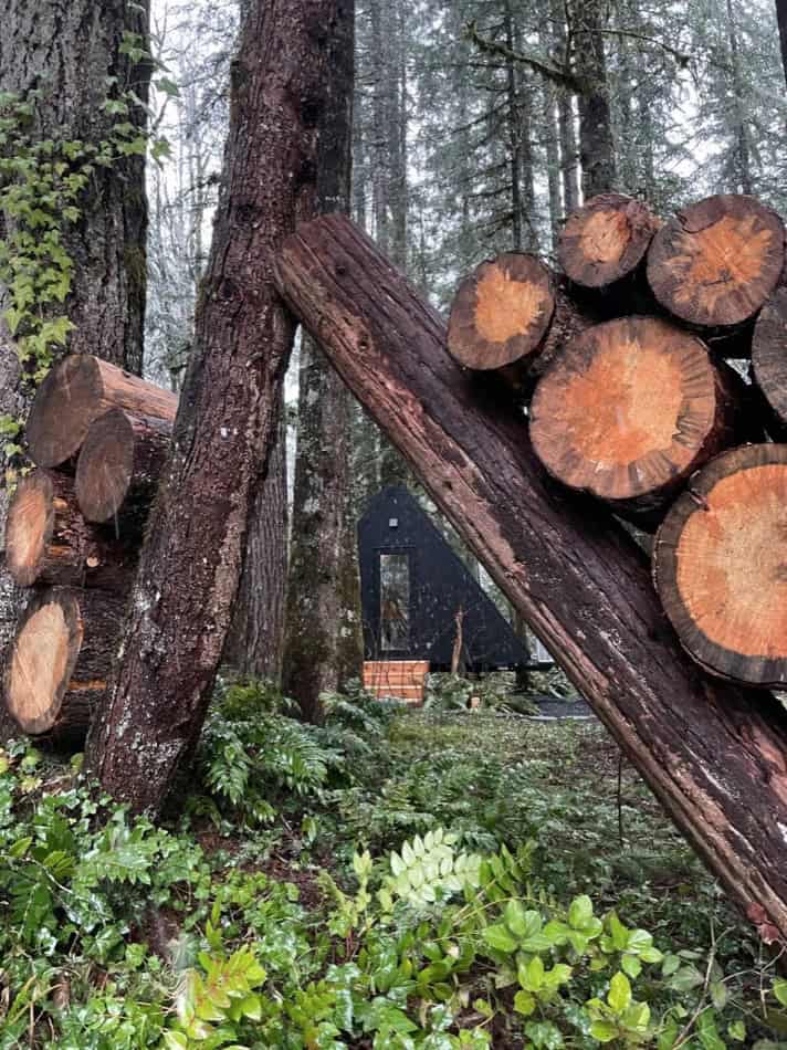 Charming tiny A-frame cabin nestled among tall trees in McKenzie Bridge, Oregon. Surrounded by lush.