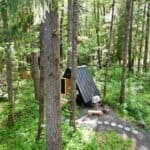 Tiny house nestled among tall trees in a lush forest setting.