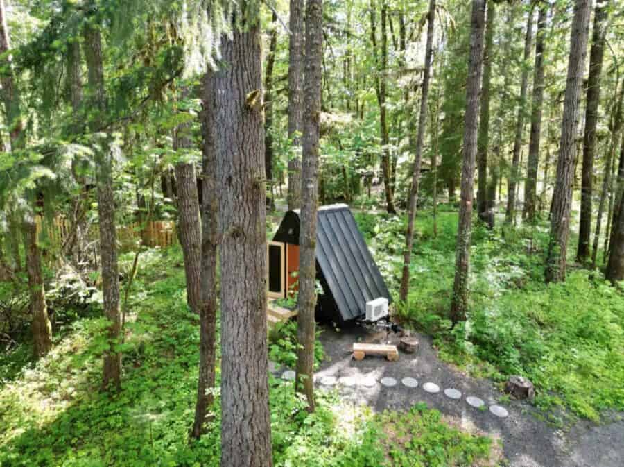 Tiny house nestled among tall trees in a lush forest setting.