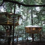 The Looking Glass A Pair of Mirrored Treehouses 12