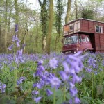 The Lovestruck Tiny Housetruck 001