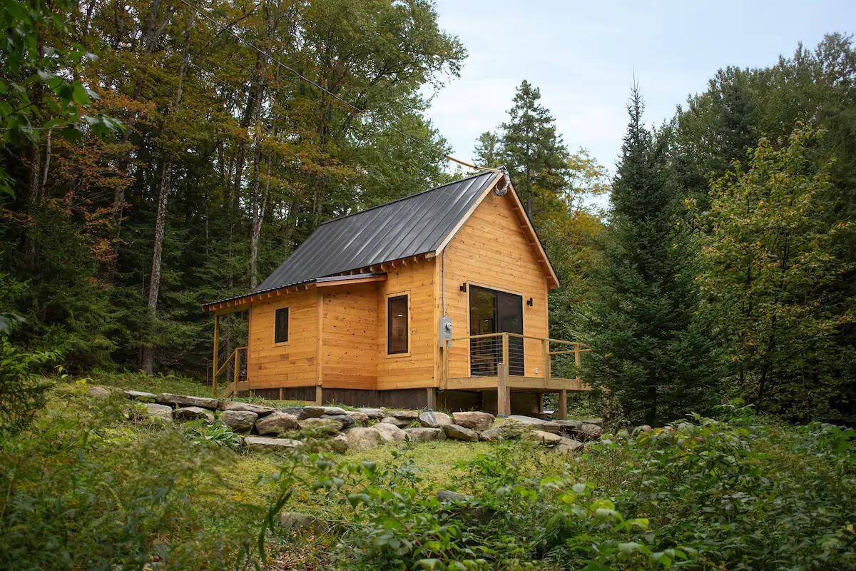Tiny House in Forest Setting