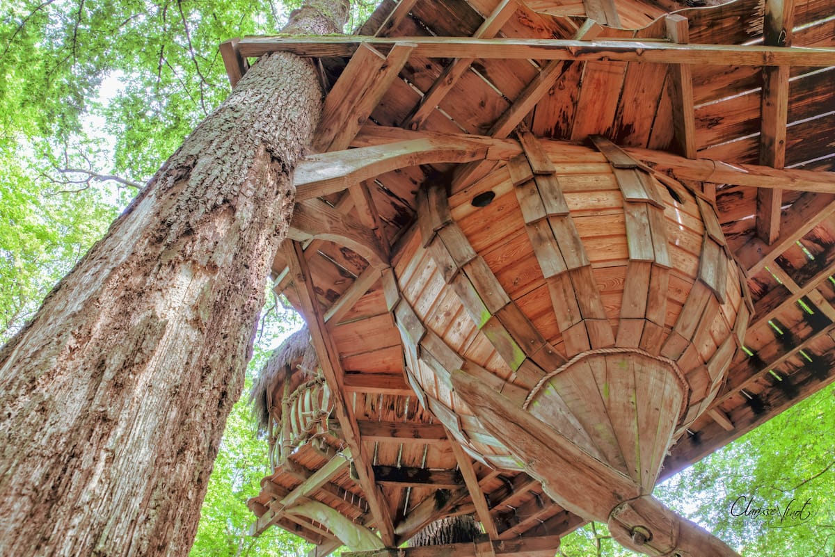 Tree Shack Tiny Four-Level Treehouse in France