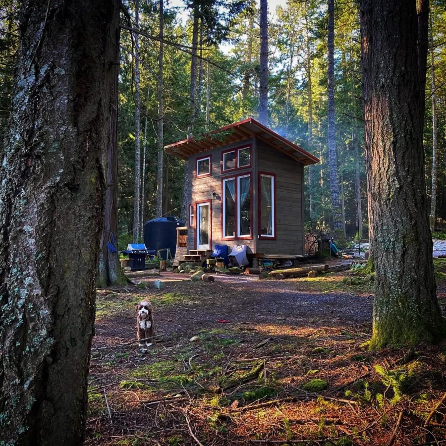 Their 13×8 Off-Grid Cabin on a Canadian Island 4
