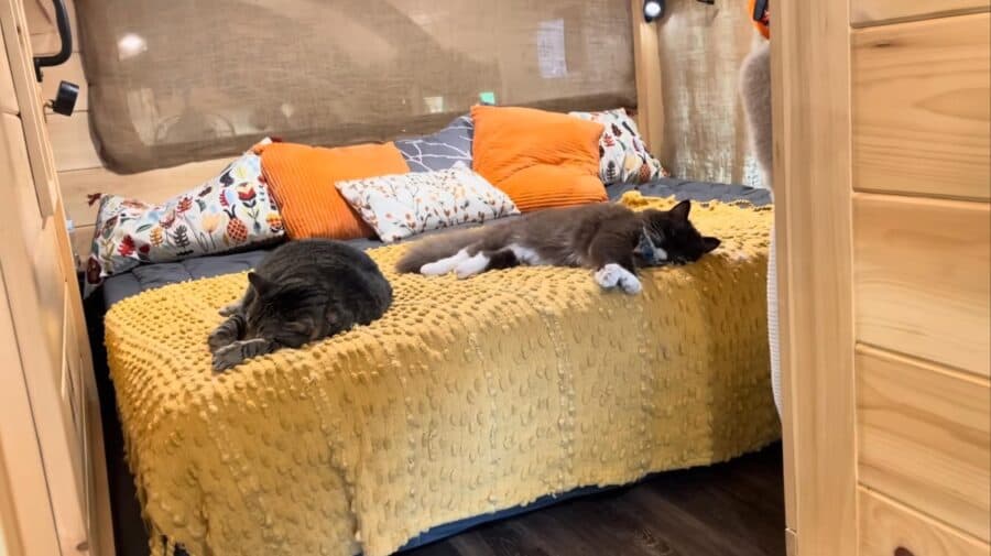 Their Custom Mountain Tiny Home 2 Beds 2 Baths 3