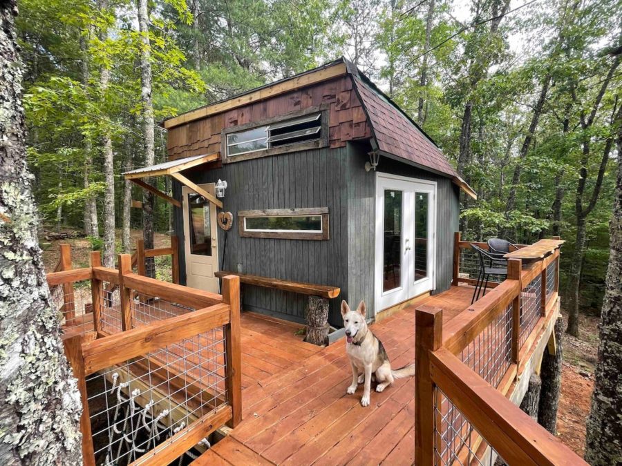 This Kid Created – And Manages – His Own ‘Dream Treehouse’ Airbnb 13