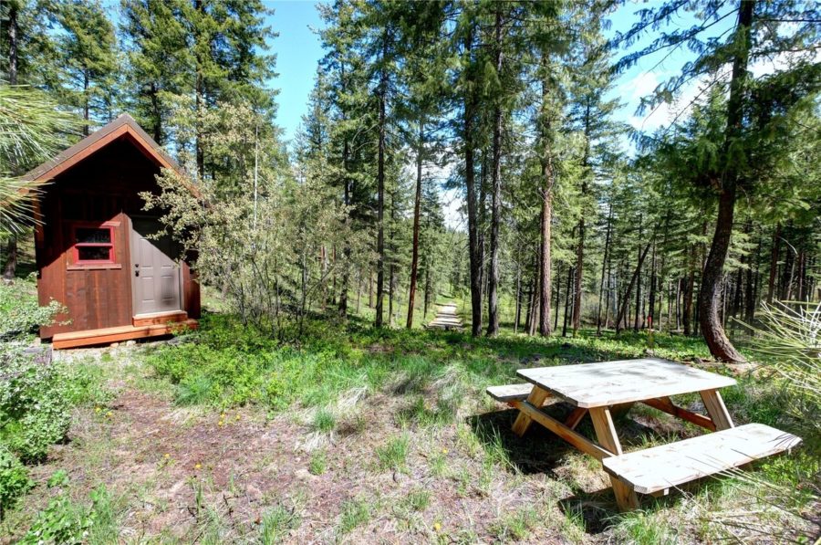 This Tiny Cabin Comes with 2 Acres of Thinned & Surveyed Forest 10