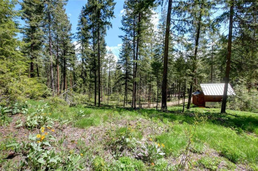 This Tiny Cabin Comes with 2 Acres of Thinned & Surveyed Forest 2