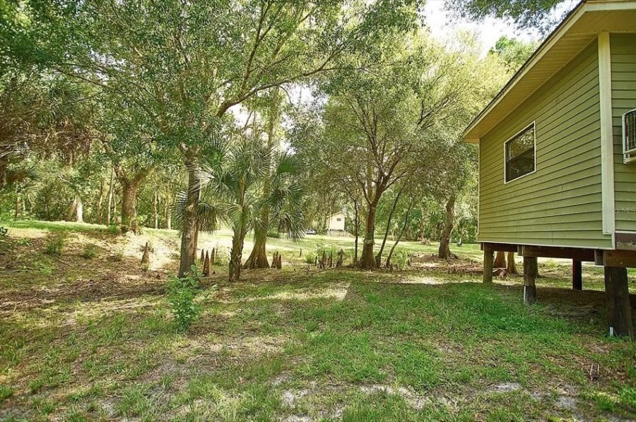 Tiny Cabin on 5 Acres in Florida for 250k 009