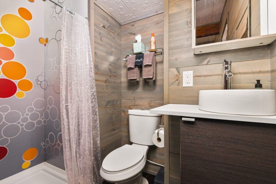 Bathroom with bubble pattern shower walls and vessel sink in the Modern tiny house