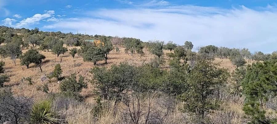 Scenic view of a small house surrounded by open land and trees in Fort Davis, Texas.