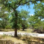 Tiny House Community in Wimberley, Texas 002