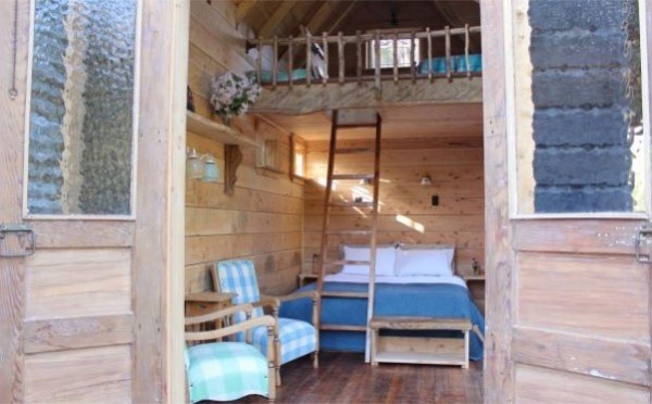 Tiny Log Cabin in New Zealand 10