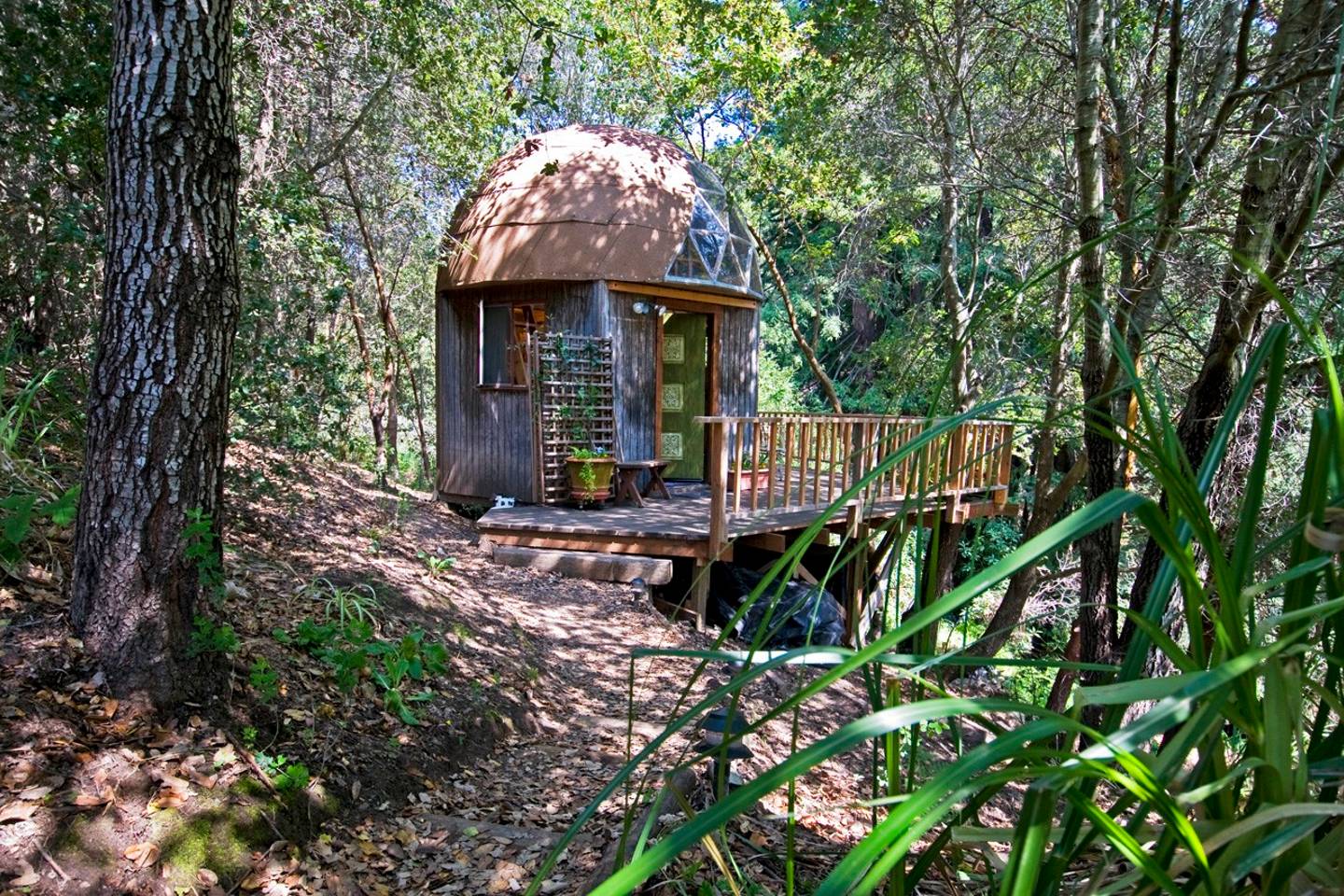 Geodesic dome cabin exterior surrounded by oak trees in Aptos California