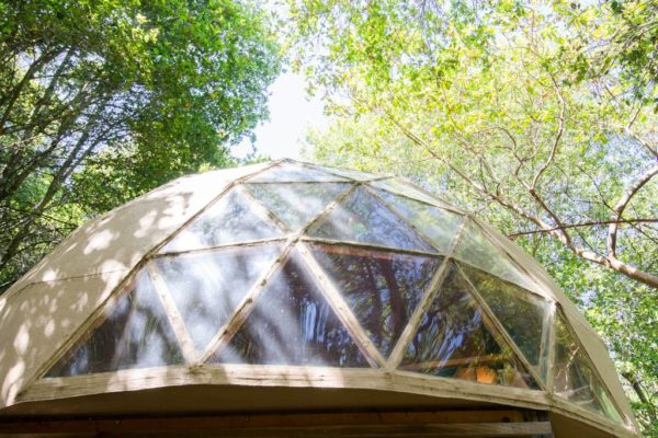 Tiny Mushroom Dome Cabin 