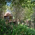 Tiny Mushroom Dome Cabin 019