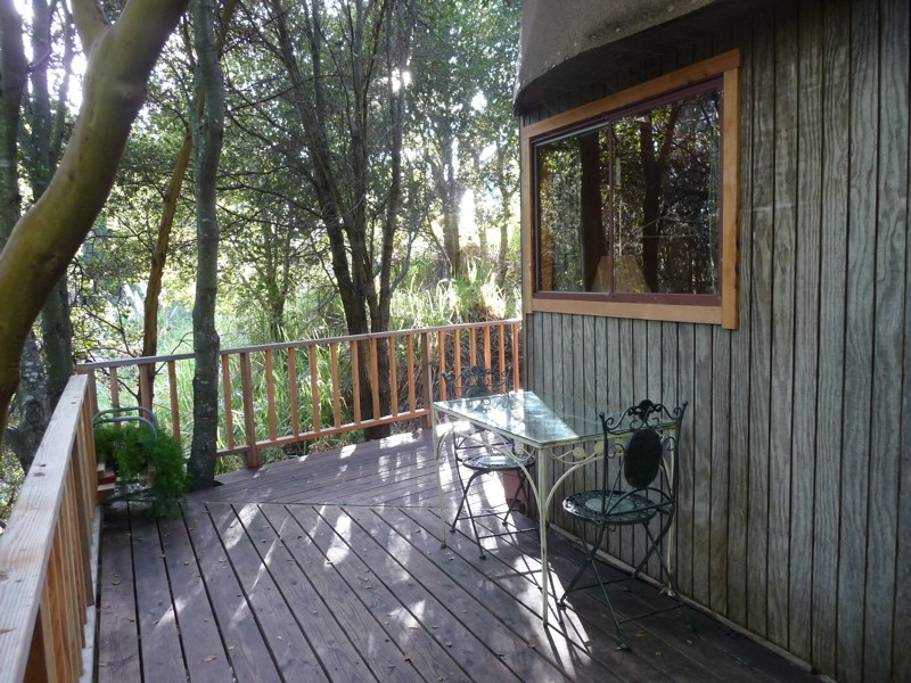 Ten-acre property with walking trails through oak and redwood forest