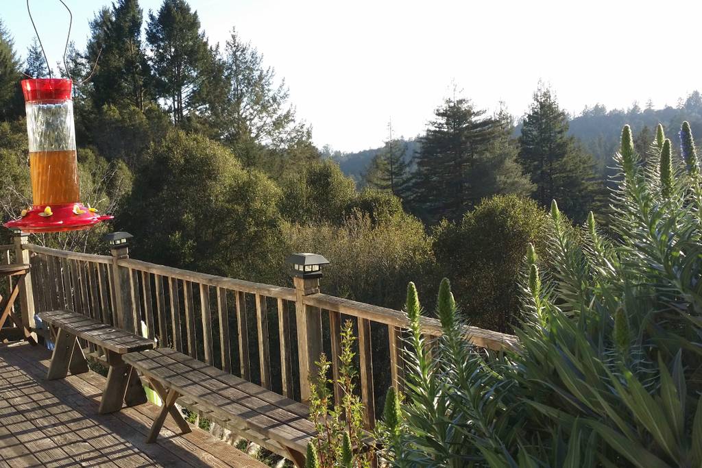 Natural landscape surrounding mushroom dome cabin retreat