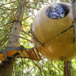 Tiny Tree House Sphere Shelter Tour – Exploring Alternatives 1