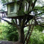 Tiny-Treehouse-Overlooking-San-Francisco-Bay-008