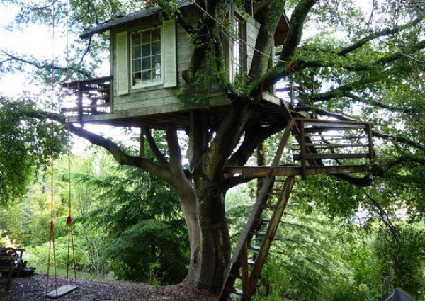 Tiny-Treehouse-Overlooking-San-Francisco-Bay-008