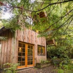 Tiny Zen Cabin in the Forest 001