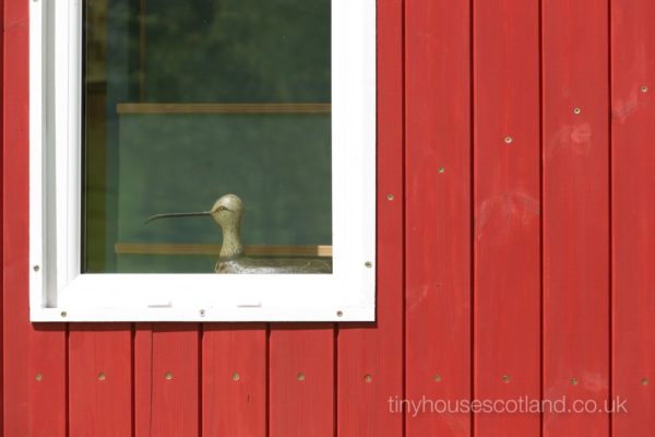 The NestHouse Tiny Home in Scotland