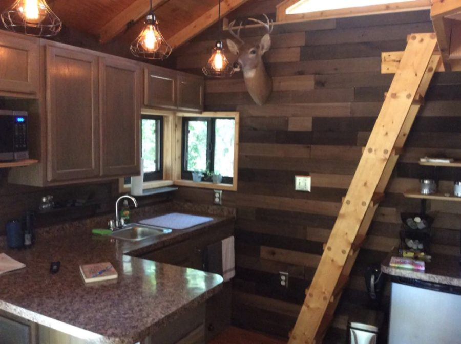 Tree House Cabin On Stilts In The Woods Near Orlando FL via Chris-Airbnb 003