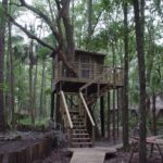 Tree Houses at Hostel Forest in Brunswick Georgia 001