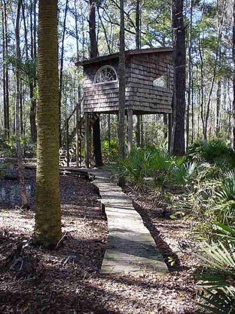 Tree Houses at Hostel Forest in Brunswick Georgia 002