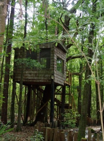 Tree Houses at Hostel Forest in Brunswick Georgia 003