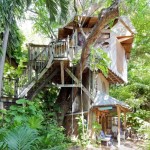 Treehouse Micro Cabin on a Permaculture Farm 001