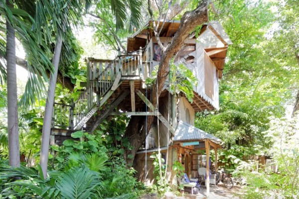 Treehouse Micro Cabin on a Permaculture Farm 001
