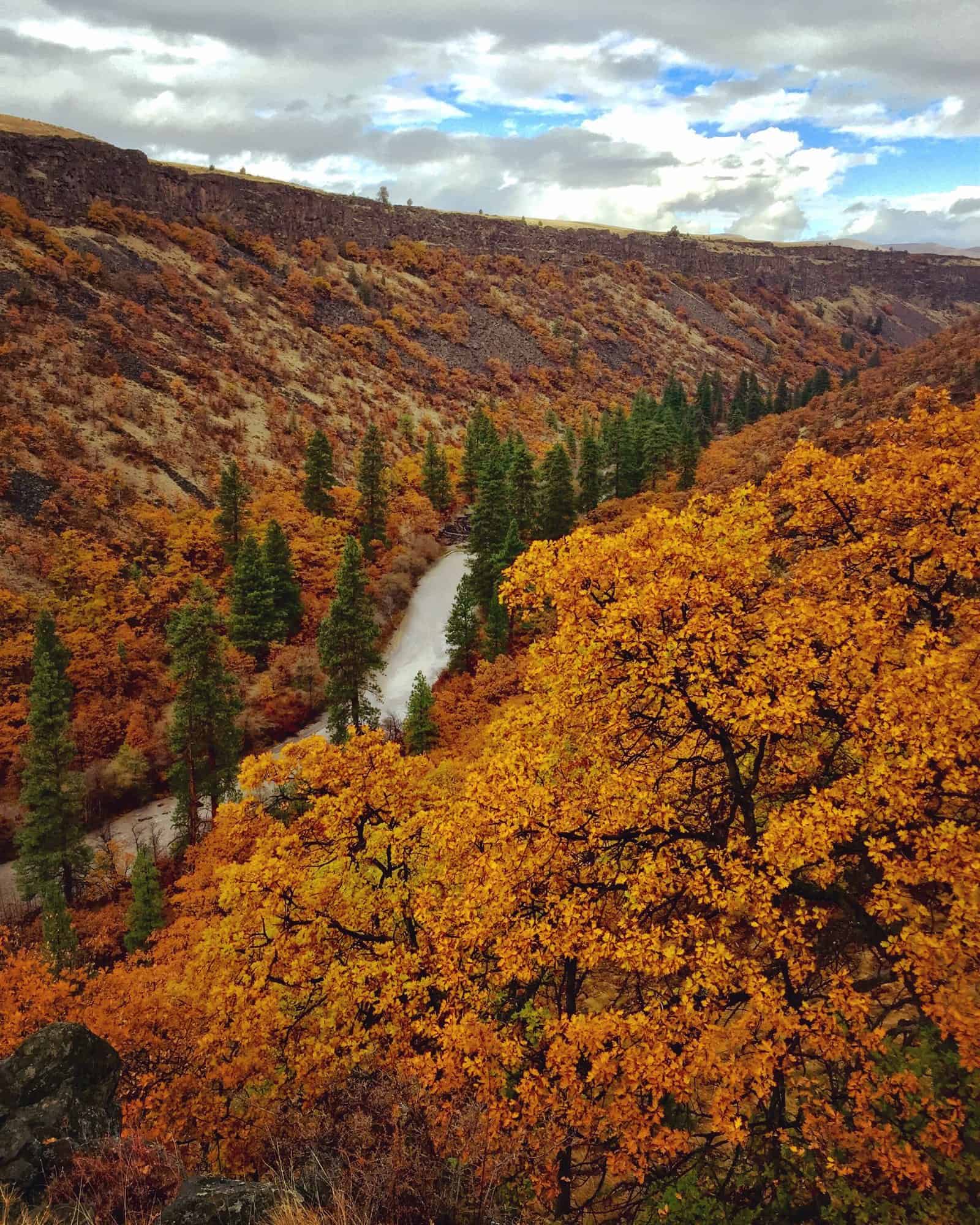 White River Canyon in autumn with golden oaks and the river winding below near Tygh Valley Oregon
