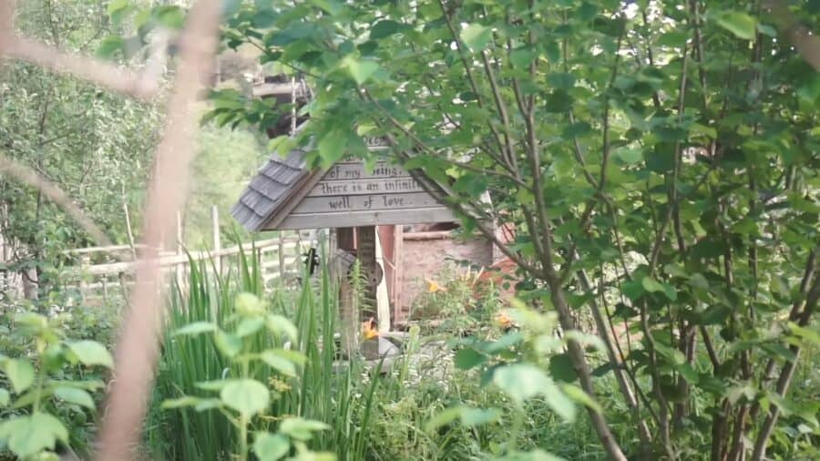 Path through the permaculture food forest toward a small outbuilding