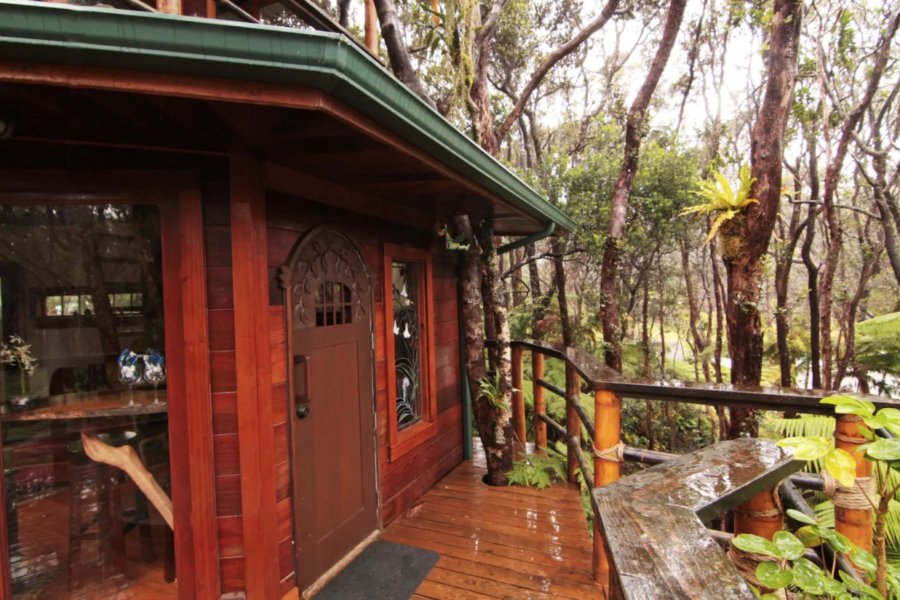 Volcano Rainforest Treehouse with PRIVATE Outdoor Shower via Mahinui-Airbnb 001
