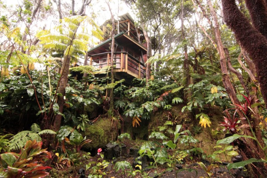 Volcano Rainforest Treehouse with PRIVATE Outdoor Shower via Mahinui-Airbnb 0018