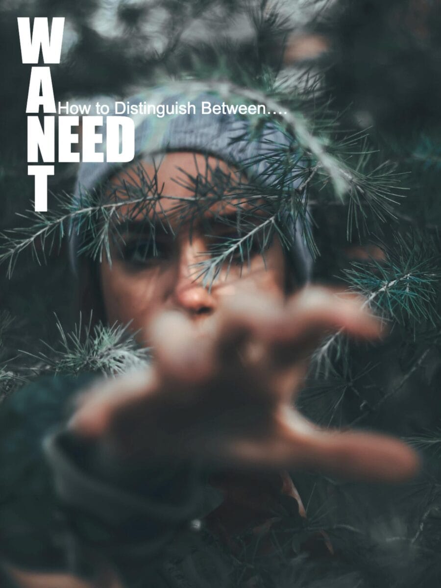 Wants vs. Needs and the Future of Homeownership Tiny House magazine 4